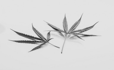 Лечение наркомании в Шамхал-Термене